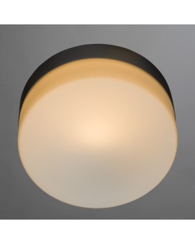 Накладной светильник ARTE Lamp A3211PL-1SI-foto2