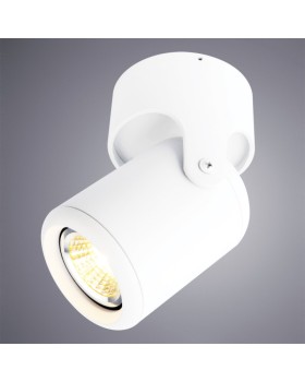 Накладной светильник ARTE Lamp A3316PL-1WH-foto2