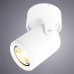 Накладной светильник ARTE Lamp A3316PL-1WH