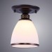 Накладной светильник ARTE Lamp A9518PL-1BA