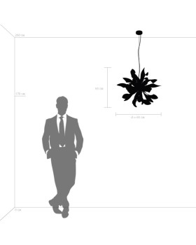 Подвесная люстра Lightstar 754269-foto2
