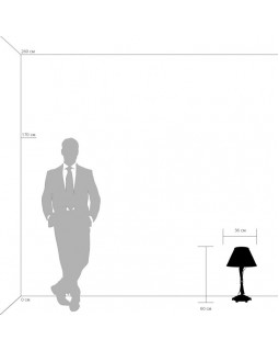 Настольная лампа Lightstar 783911-foto2