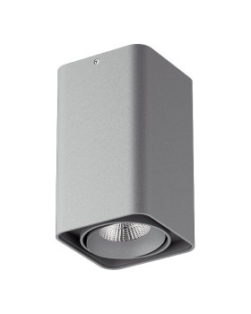 Накладной светильник Lightstar 212539-foto2