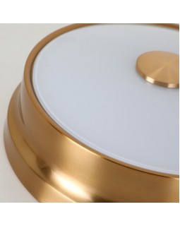 Накладной светильник Favourite 2375-2C-foto6