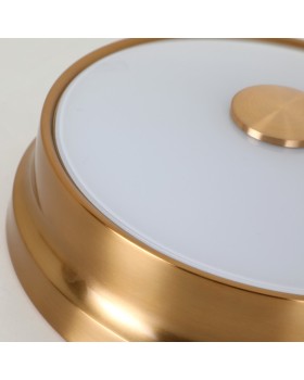 Накладной светильник Favourite 2375-2C-foto6