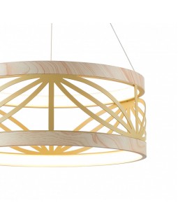 Подвесная люстра Favourite 2422-5P-foto4