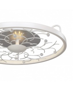 Накладной светильник Favourite 2533-4C-foto4