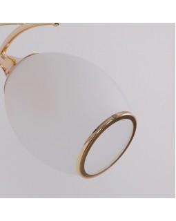 Бра F-Promo 2445-1W-foto5