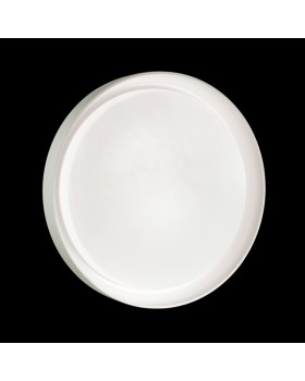 Накладной светильник Sonex 3030/DL-foto2