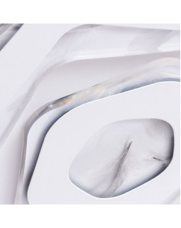 Накладной светильник ARTE Lamp A1398PL-1CL-foto3