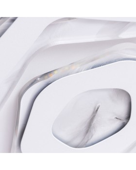 Накладной светильник ARTE Lamp A1398PL-1CL-foto3