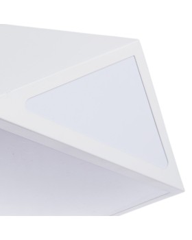 Накладной светильник ARTE Lamp A1931PL-1WH-foto3