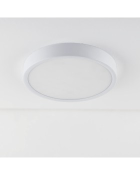 Накладной светильник Elektrostandard DLR034 18W 4200K-foto2