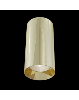 Накладной светильник Maytoni Technical C010CL-01G-foto2