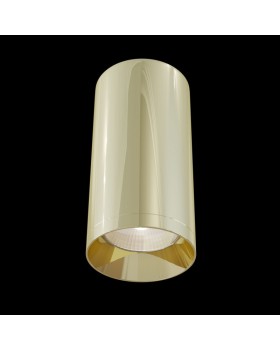 Накладной светильник Maytoni Technical C010CL-01G-foto2