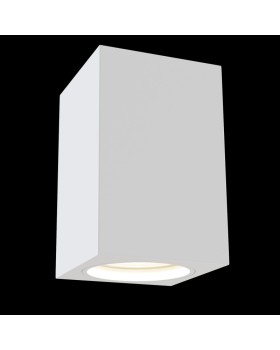 Накладной светильник Maytoni Technical C011CL-01W-foto2
