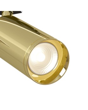 Светильник на шине Maytoni Technical TR004-1-GU10-G-foto3