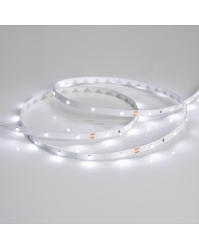 Лента Arlight 019917(B)-foto2