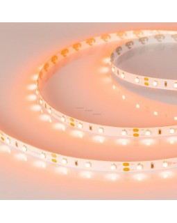 Лента Arlight 013568-foto2