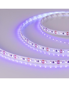 Лента Arlight 012812-foto2