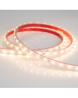 Лента Arlight 011509-foto2