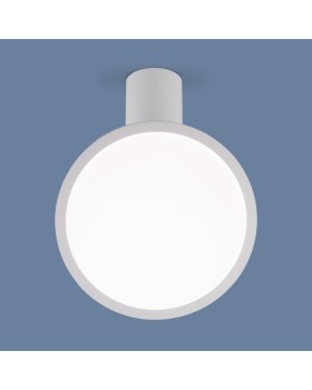 Накладной светильник Elektrostandard DLS029 12W 4200K белый матовый-foto3