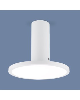 Накладной светильник Elektrostandard DLS029 12W 4200K белый матовый-foto4