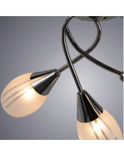 Накладная люстра ARTE Lamp A2701PL-9CC-foto3