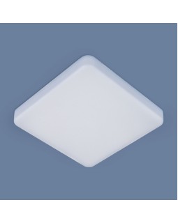 Накладной светильник Elektrostandard DLS043 10W 4200K-foto2