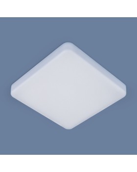 Накладной светильник Elektrostandard DLS043 10W 4200K-foto2