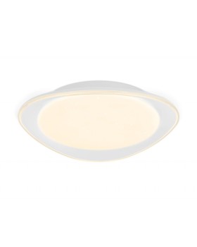 Накладной светильник Ambrella Light FF44-foto2