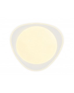 Накладной светильник Ambrella Light FF44-foto5