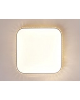 Накладной светильник Ambrella Light FF75-foto6