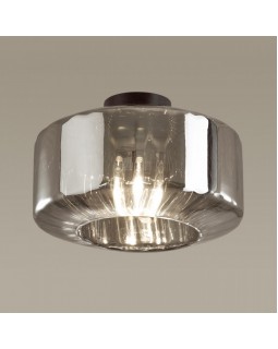 Накладной светильник Odeon Light 4746/1C-foto4
