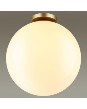 Накладной светильник Odeon Light 4250/1C-foto4
