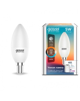 Светодиодная лампа Gauss 1110112-foto2