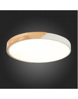 Накладной светильник Evoluce SLE200952-01-foto2