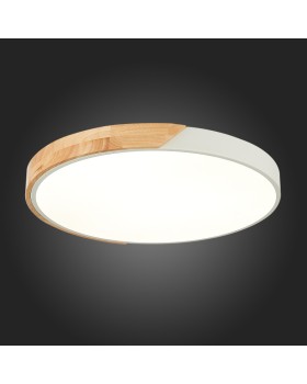 Накладной светильник Evoluce SLE200952-01-foto2