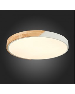 Накладной светильник Evoluce SLE200952-01-foto3