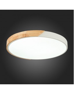 Накладной светильник Evoluce SLE200952-01-foto4