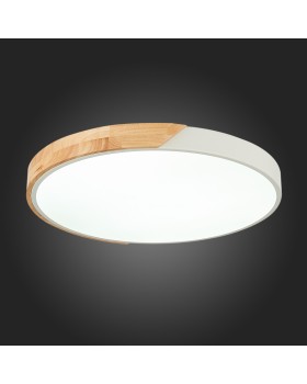 Накладной светильник Evoluce SLE200952-01-foto4