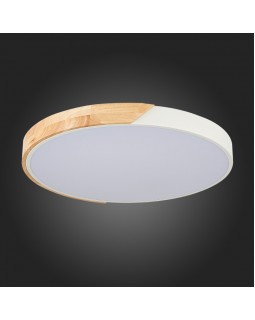 Накладной светильник Evoluce SLE200952-01-foto5