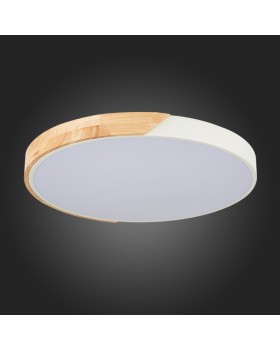 Накладной светильник Evoluce SLE200952-01-foto5