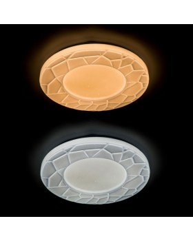 Накладной светильник ARTE Lamp A2678PL-72WH-foto3