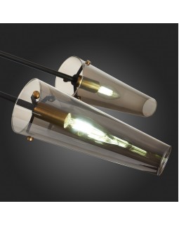Люстра на штанге ST-Luce SL1209.302.06-foto4