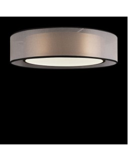 Накладной светильник Freya FR6005CL-L36G-foto2