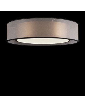 Накладной светильник Freya FR6005CL-L36G-foto2