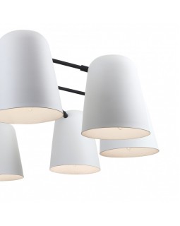 Подвесная люстра F-Promo 2762-10P-foto4