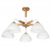 Люстра на штанге ARTE Lamp A5032PL-5BR