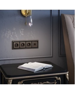 Клавиша Werkel W1179012-foto7